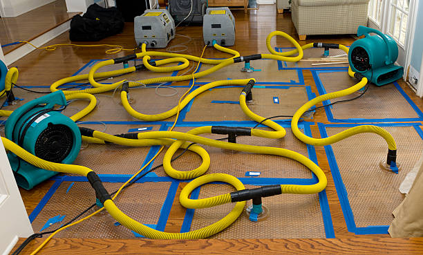 Professional Basement Flood Cleanup technician working in Bancroft, WV